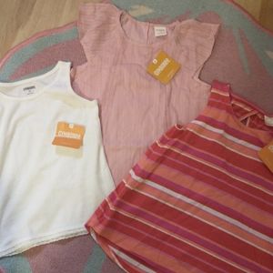 NWT Gymboree 5t shirt lot